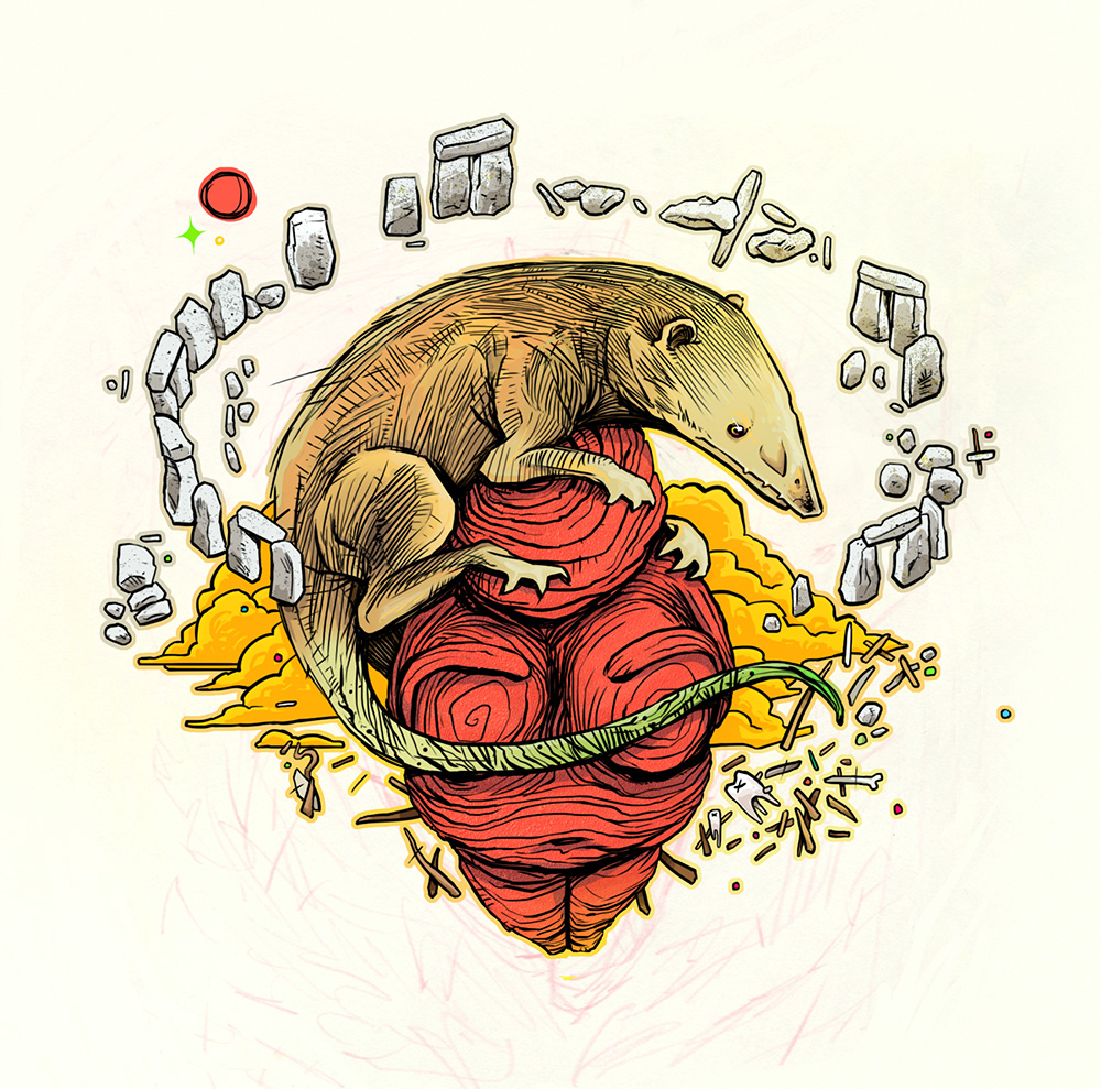 Hadrocodium, the first mammal