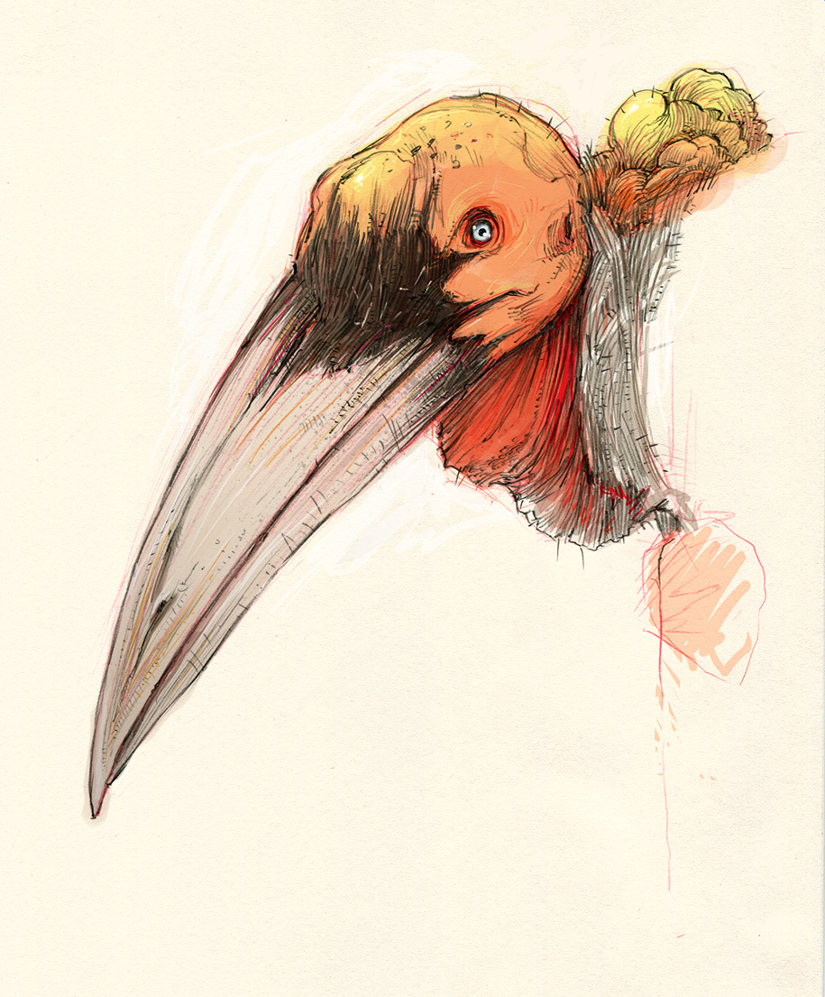 greater adjutant