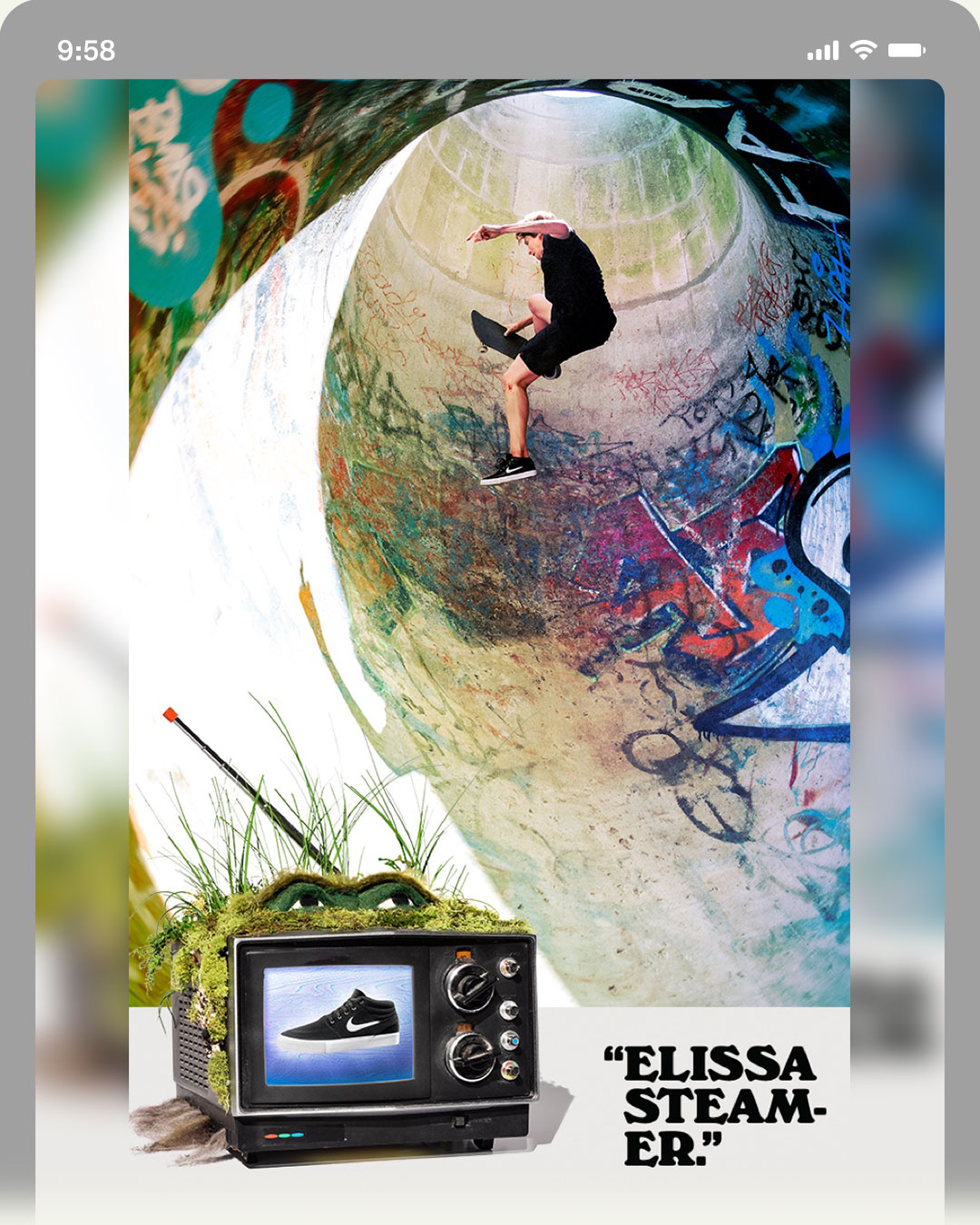 elissa steamer email layout